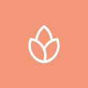 Bonfire Studios logo