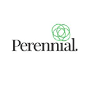 Perennial logo
